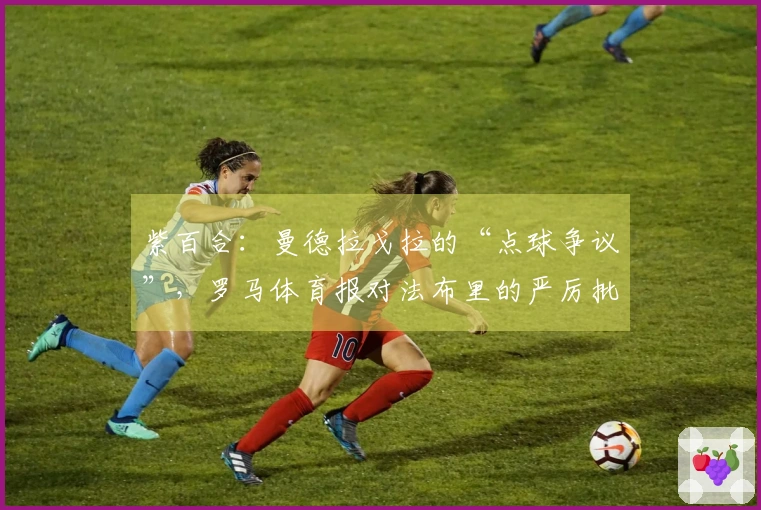 紫百合：曼德拉戈拉的“点球争议”，罗马体育报对法布里的严厉批评