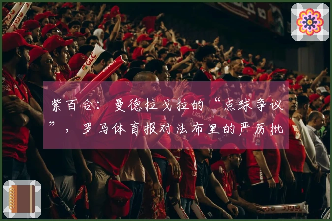 紫百合：曼德拉戈拉的“点球争议”，罗马体育报对法布里的严厉批评